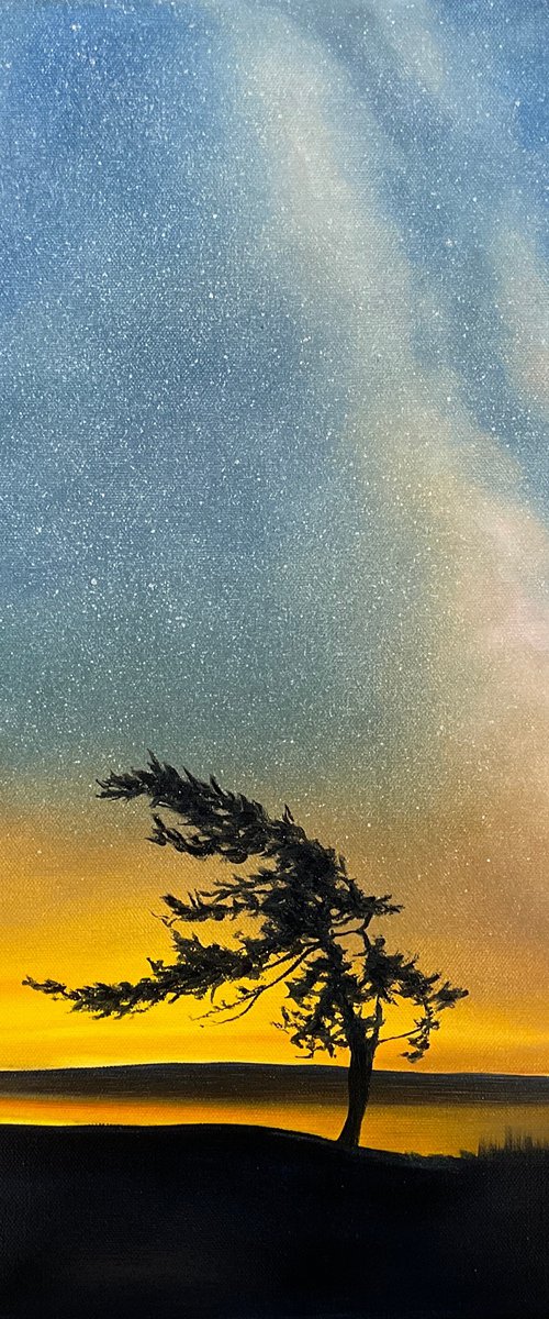 Under the Milky Way by Alla Kallass