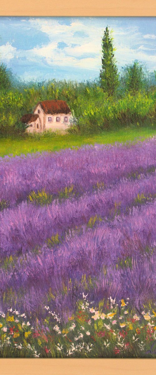 Lavender field by Ludmilla Ukrow