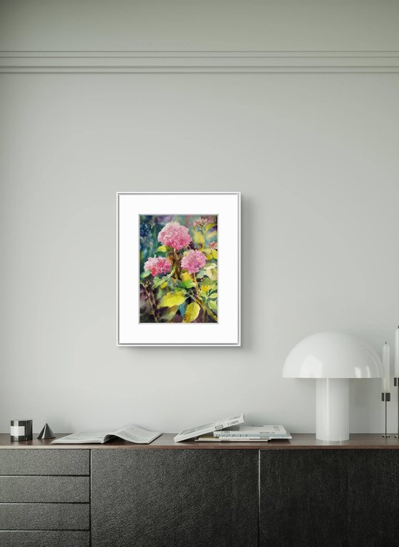 Pink Hydrangeas flowers