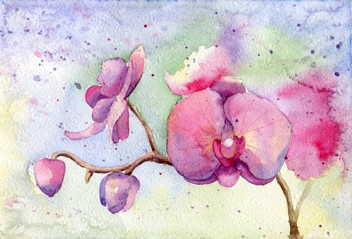 Branch of a blooming orchid. Original watercolor artwork. by Evgeniya Mokeeva