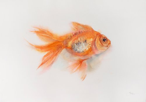 Goldfish by Ekaterina Pytina