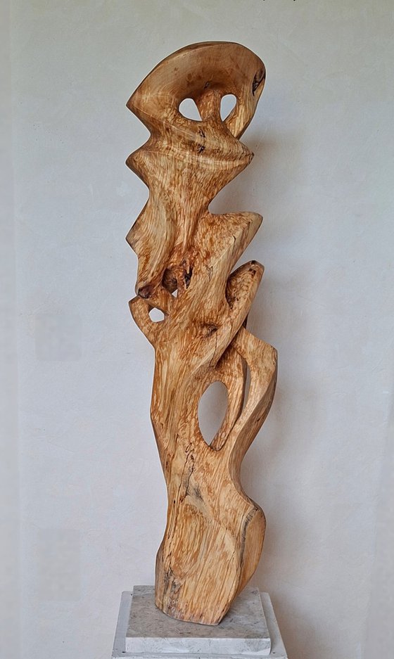 Birch bird