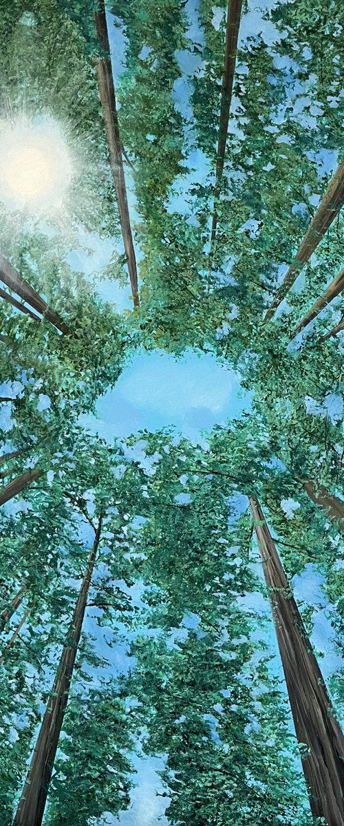 Above by Victoria Obolensky