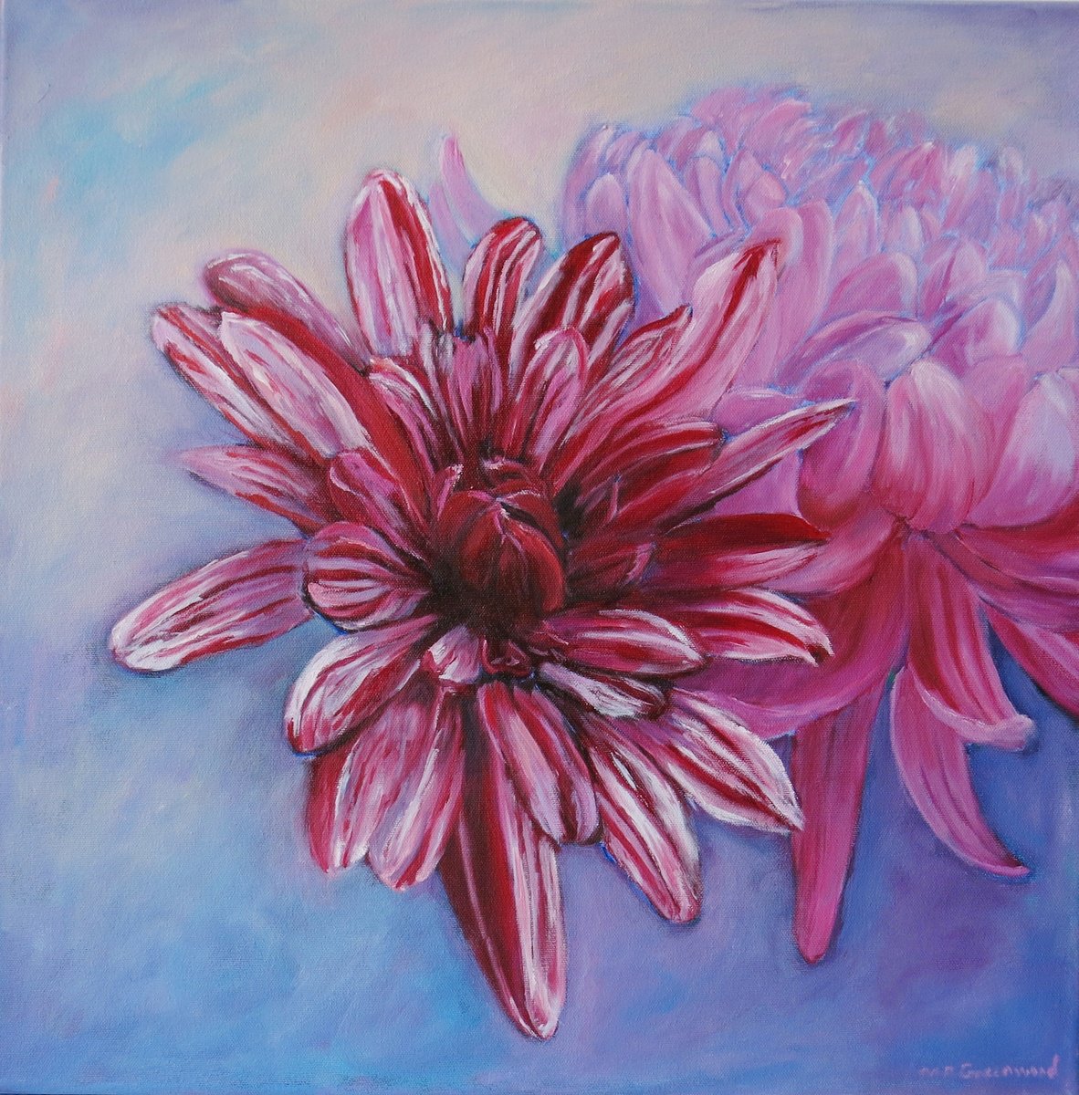 Impressionistic Botanical Oil Painting By Maureen Greenwood, 20 X 20", Deep Red And Pink Chrysanths, Original Artwork