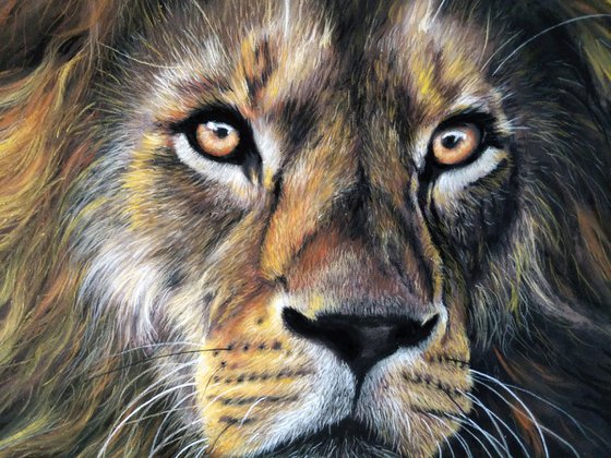 Lion II (Original Painting)