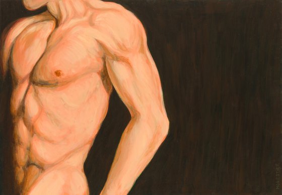 Torso and arm, male nude