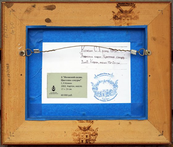 Japanese garden. Sakura blossom