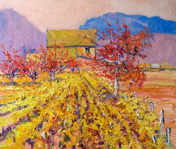 Vineyards in the Fall