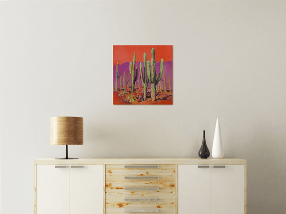 Saguaro Catuses