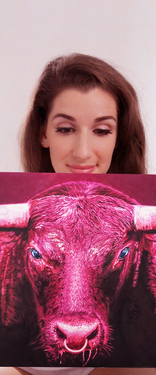 Pink Bull by Sabrina Rupprecht