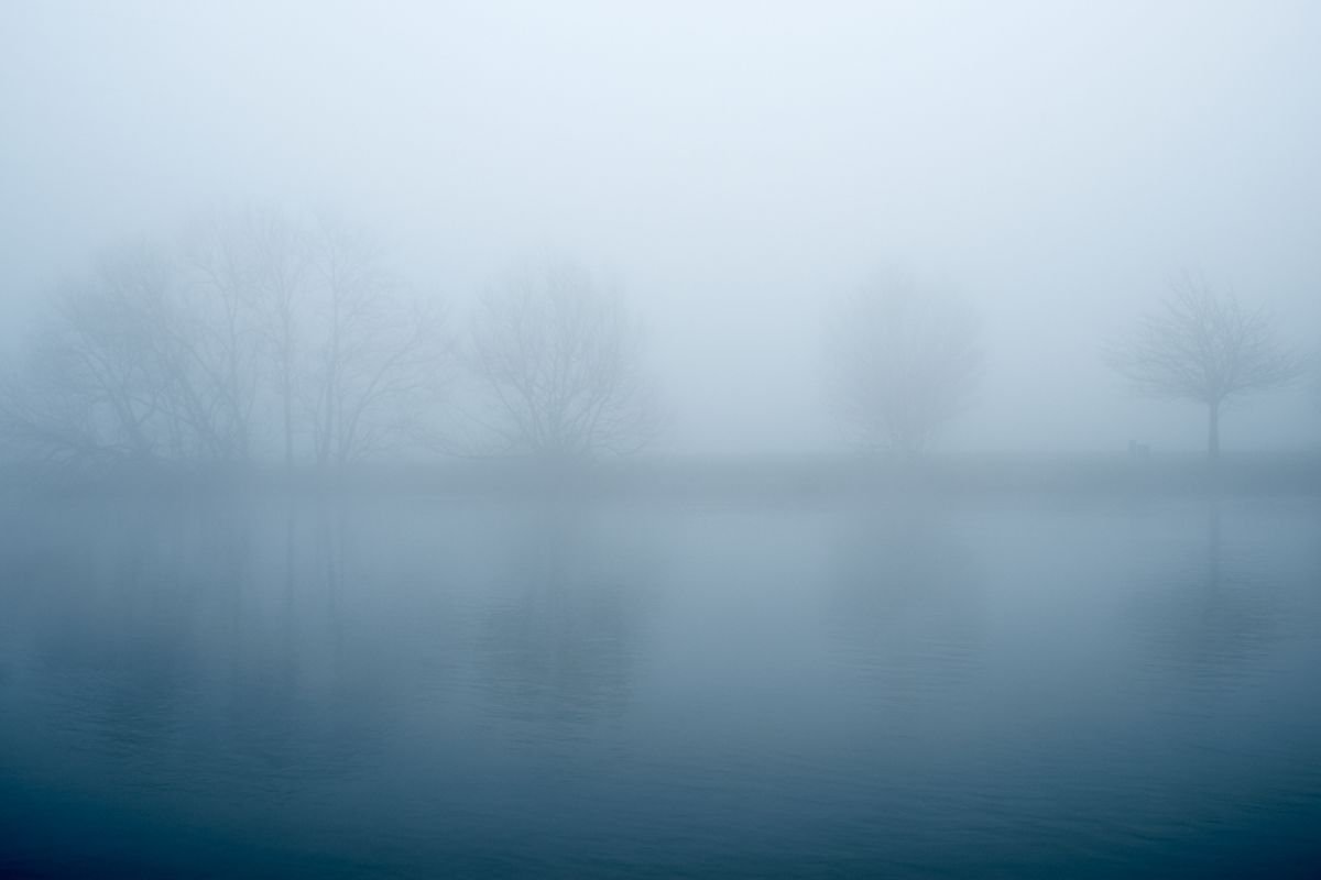 Misty Trees by Douglas Kurn
