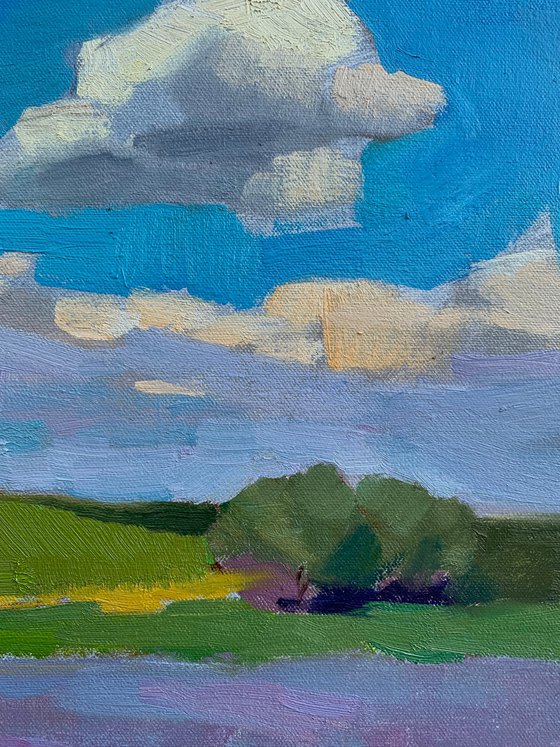 Summer Afternoon