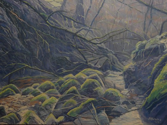 Source of the river Avil