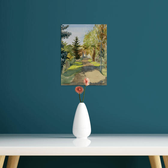 Sunny Country Street