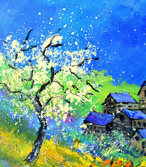 Blooming spring