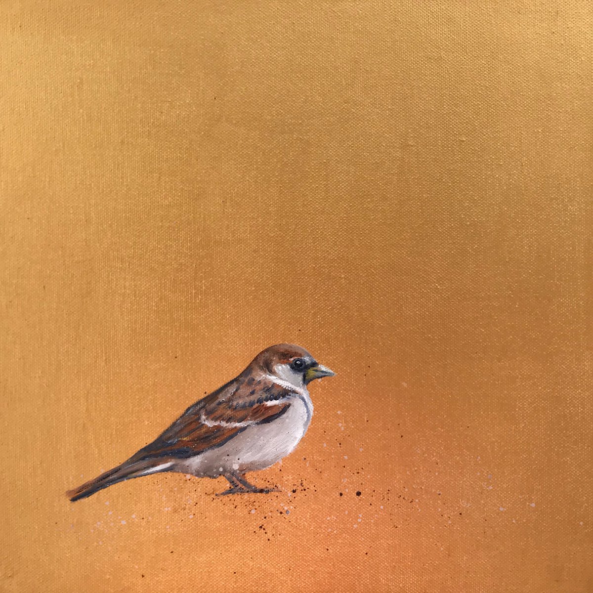 Garden Sparrow on Gold by Laure Bury