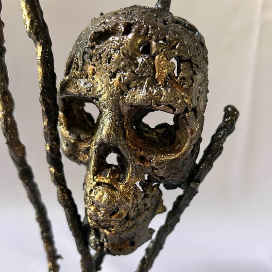 Skull 53-25