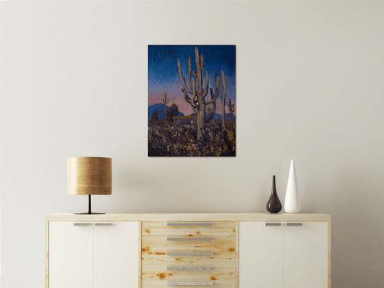 Saguaros at Night, Arizona