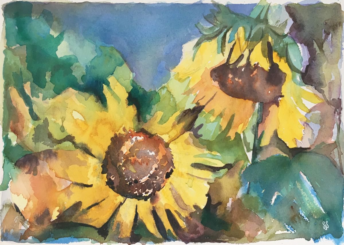 Sunflowers by Sarah Stowe