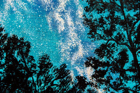 Tranquil forest under stars