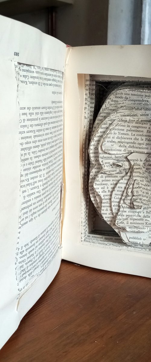Inhabited book by paolo beneforti