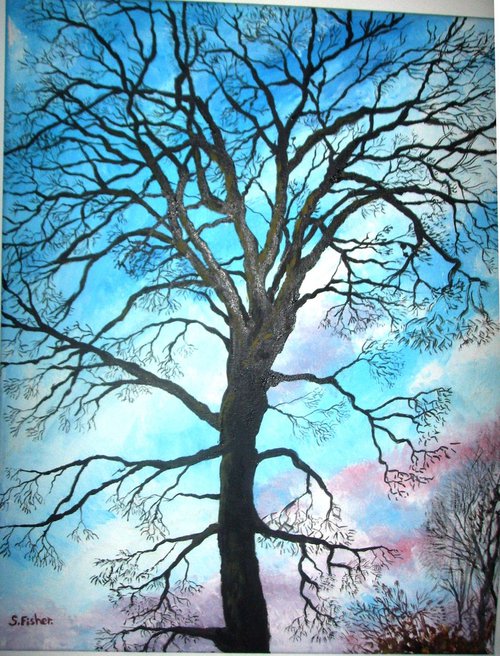 winter sycamore tree by Sandra Fisher