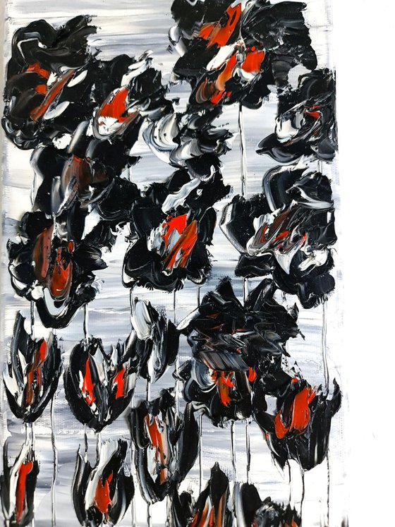 Black Poppies 1