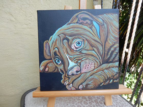 Pit Bull Pet Dog Original Art Painting-8 x 8 Inches Stretched Canvas-Carla Smale