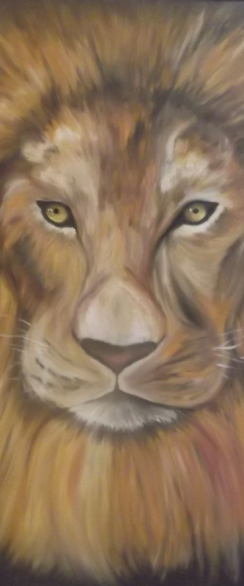 Lion heart by Timea  Valsami