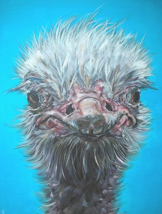 'BOO!' Ostrich Painting