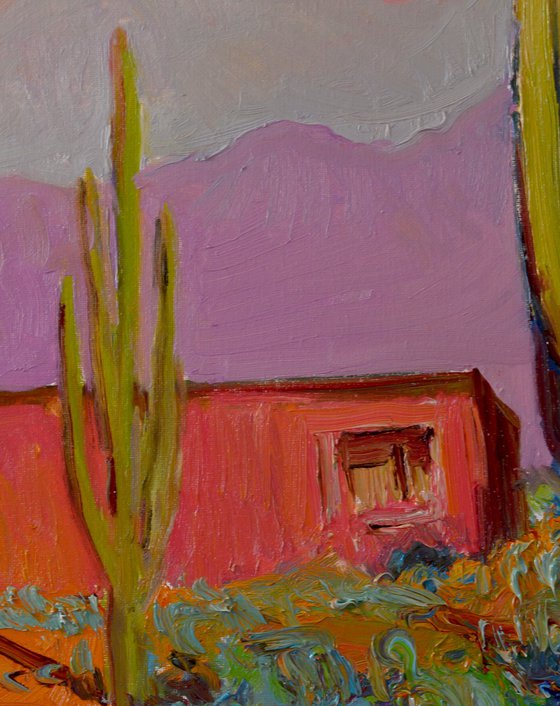 Pink House and Saguaros