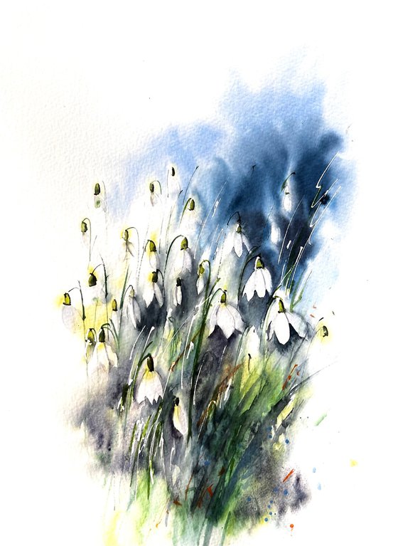 Snowdrops Flowers