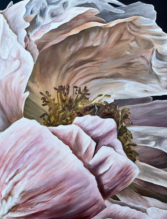 Peony before the fall