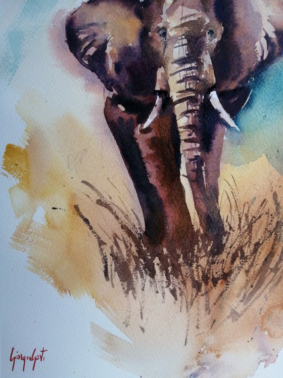 elephant 15