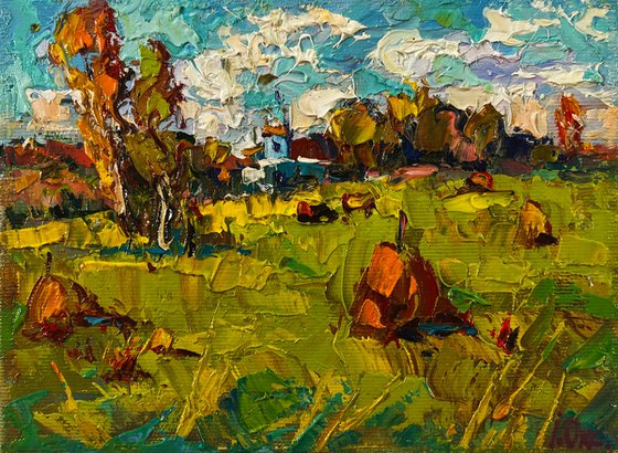 Sunny day in the field
