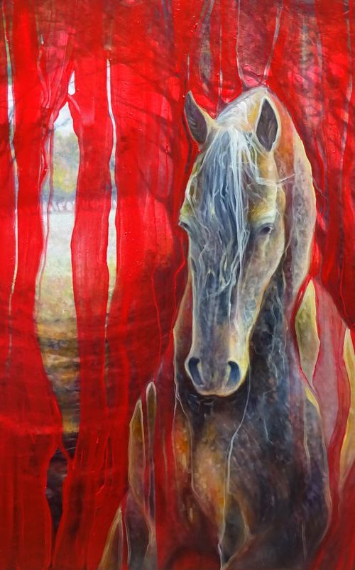 Horse Metamorphosis by Gill Bustamante