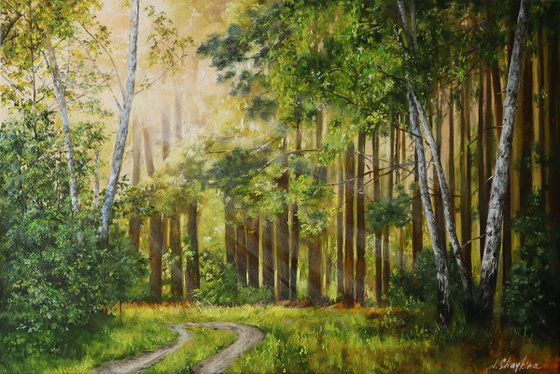 Sunlit Forest Path