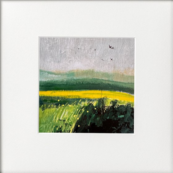 Tranquil Fields