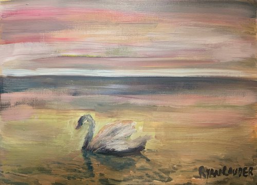 Swans At Dawn by Ryan  Louder