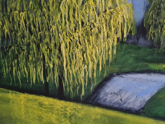 Willows in  Spring  -  Fields and Colors Series