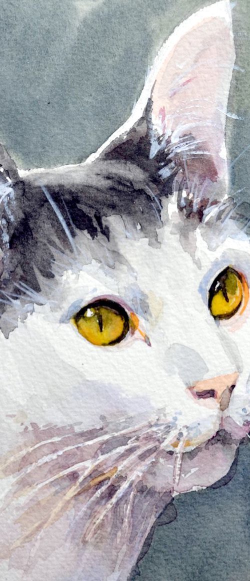 Black And White Cat. by Irina Ushakova