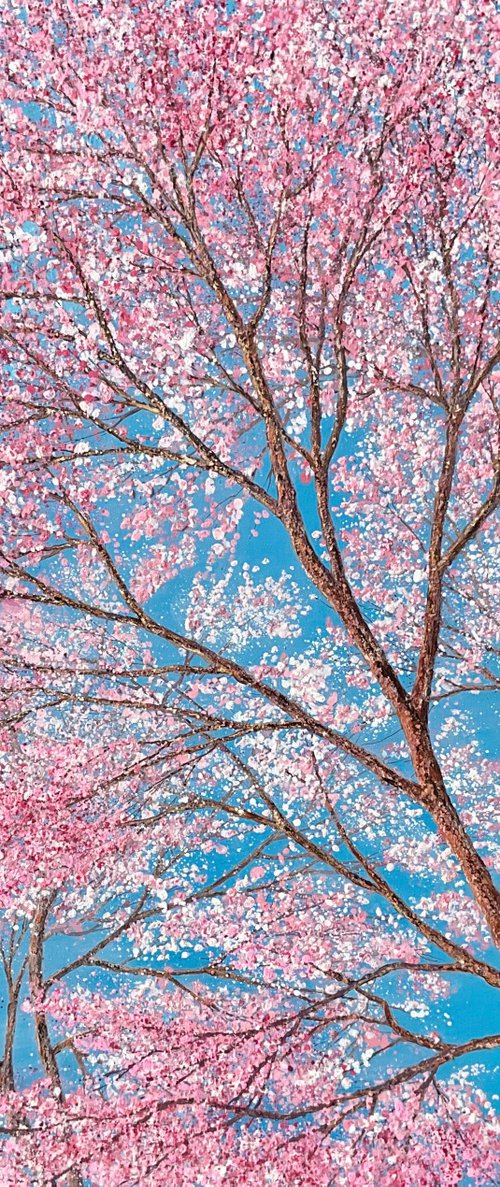 Cherry Blossom Season by Chris Bourne