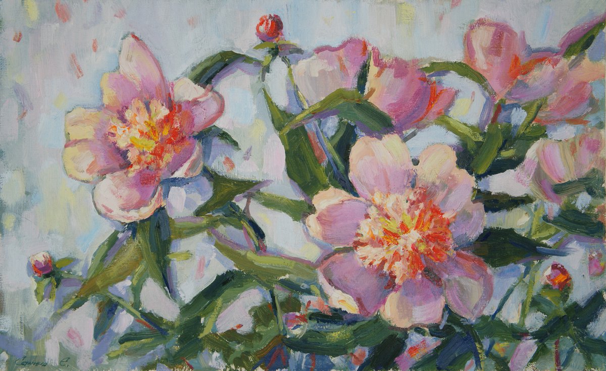 Peonies by Elena Sanina