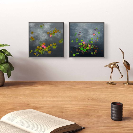 Mini Waterlily ponds