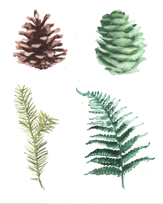 Watercolour Forest Flora - Original Pinecones and Ferns