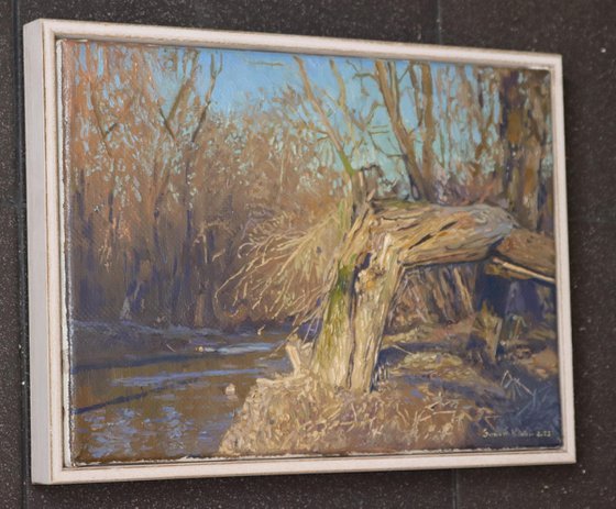 A broken tree near the Likhoborka River