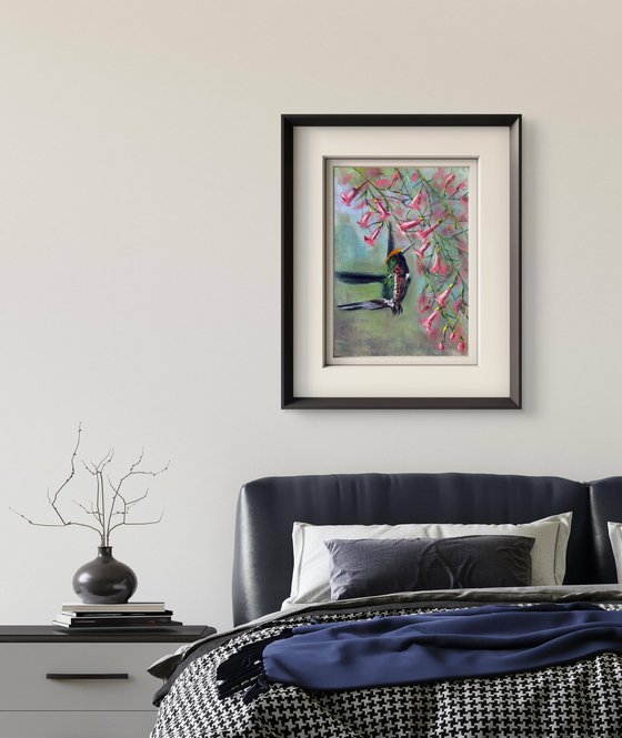 Hummingbirds in flight