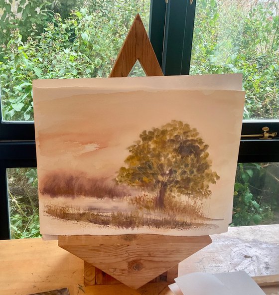 Summer Oak