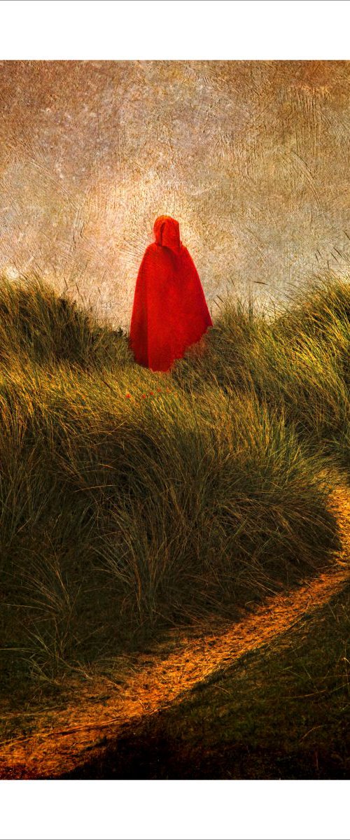 The Girl in the Red Cloak by Martin  Fry