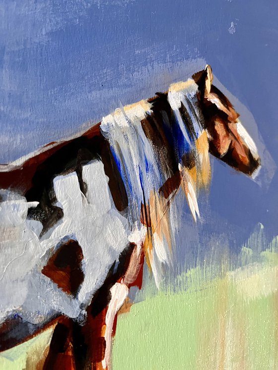 Horse with no Name